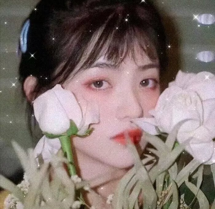 樱之桃与蒲公英