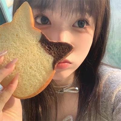 科搜研之女第24季